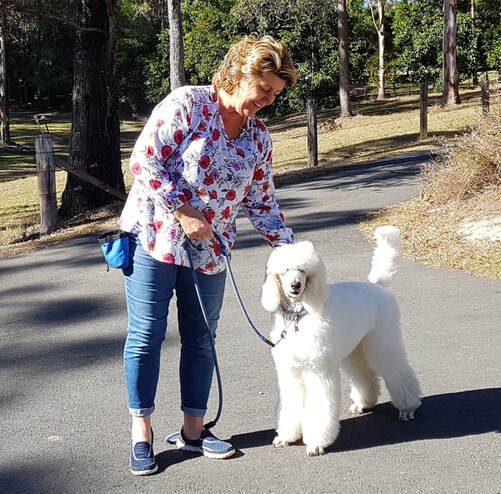 Suzie Thompson of Animal Stars Dog Training